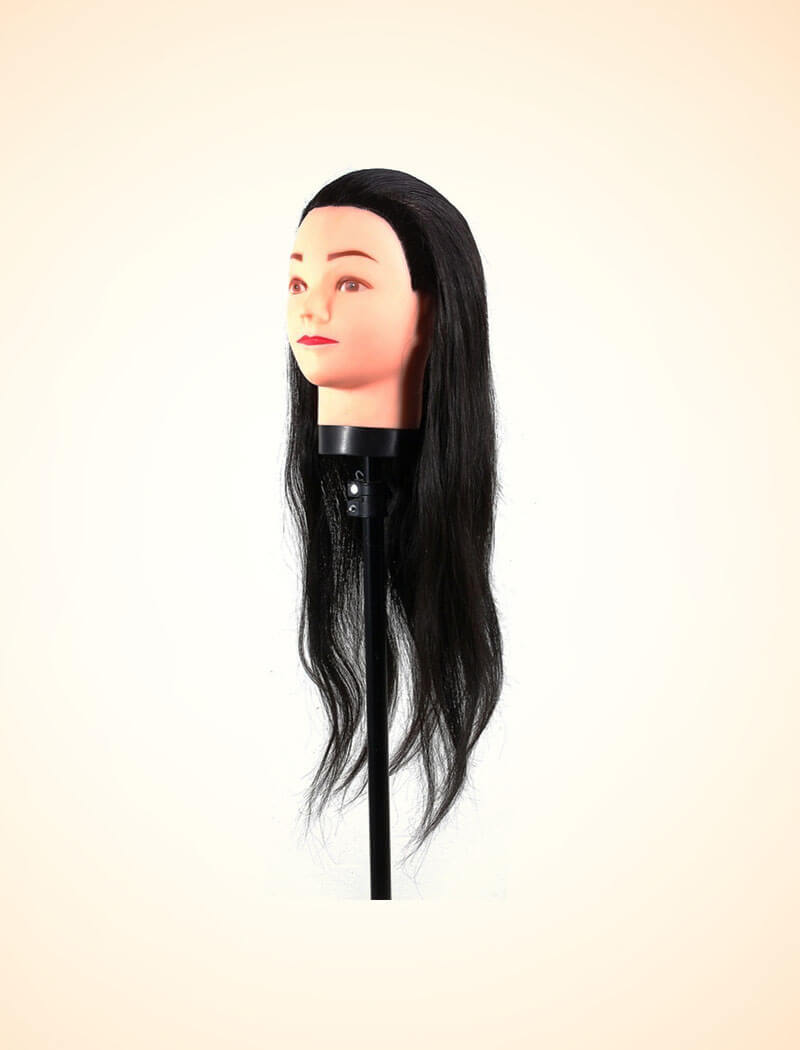 Buy Multipurpose Silky Soft Hair Dummy (Black) Online at Best Price in India